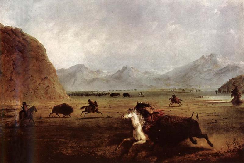 Alfred Jacob Miller Buffalo Hunt oil painting picture